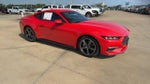 2024 Ford Mustang EcoBoost Premium Fastback