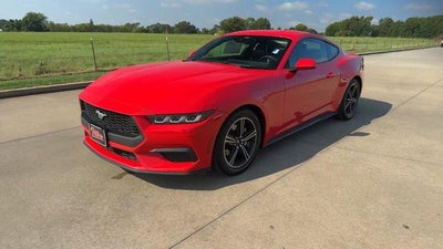 2024 Ford Mustang EcoBoost Premium Fastback