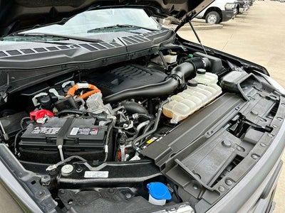 2023 Ford F-150 XLT 4WD SuperCrew 5.5' Box