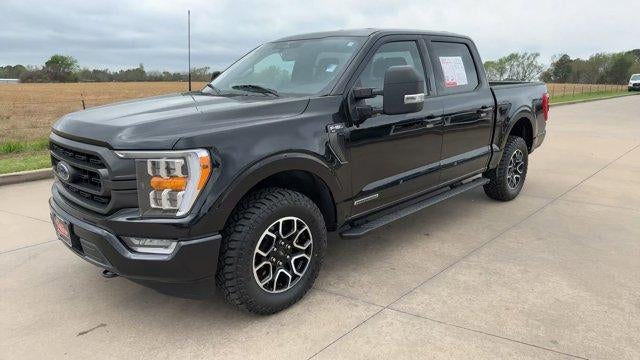 2023 Ford F-150 XLT 4WD SuperCrew 5.5' Box