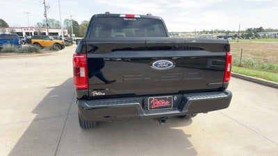 2023 Ford F-150 XLT 4WD SuperCrew 5.5' Box