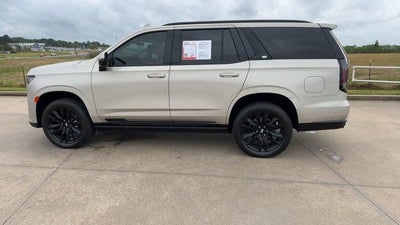 2023 Cadillac Escalade RWD Sport Platinum