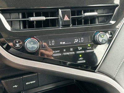 2023 Toyota Camry LE Auto (SE)