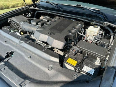 2022 Toyota 4Runner SR5 Premium 4WD (Natl)