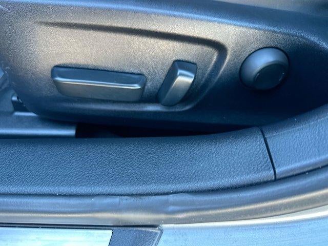 2023 Lexus IS F SPORT RWD