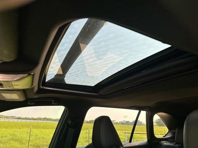 2023 Toyota RAV4 Hybrid XSE AWD (Natl)